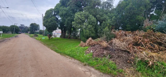 Lotes y terrenos en Venta — C. Ringuelet 5941